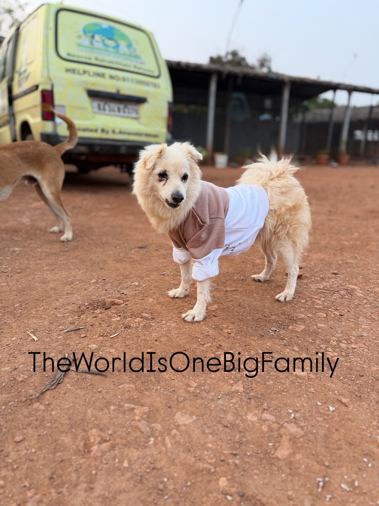 AB2463DC-00BB-4781-828A-549313B4C525